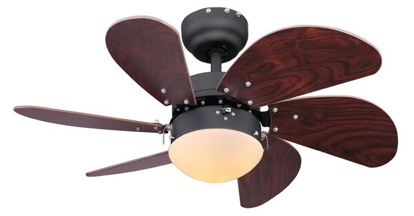 Globo 03800 - Stropní ventilátor RIVALDO 1xE14/60W/230V