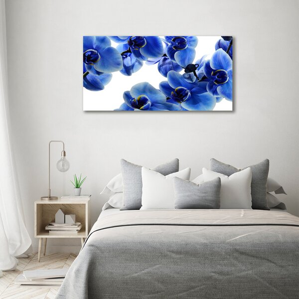 Foto obraz na plátně do obýváku Modrná orchidej oc-108719239