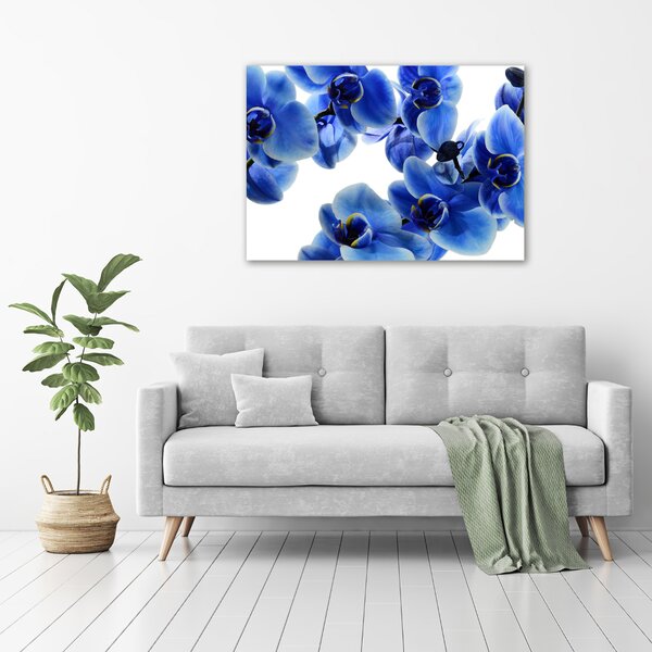 Foto obraz na plátně do obýváku Modrná orchidej oc-108719239