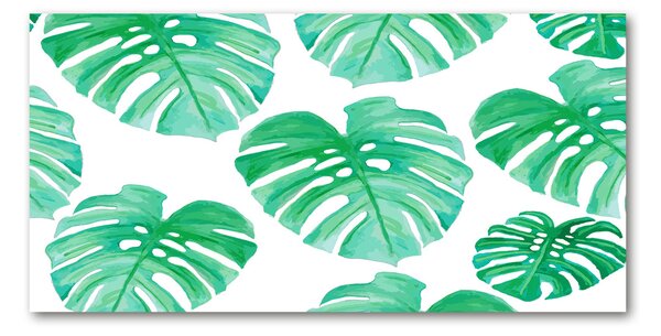 Foto obraz skleněný horizontální Monstera osh-108948322
