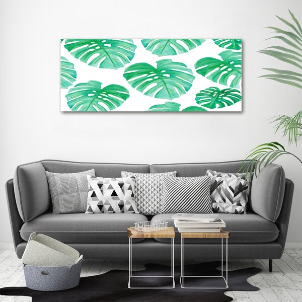 Foto obraz na plátně Monstera oc-108948322