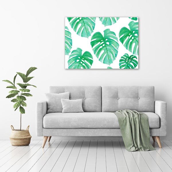 Foto obraz na plátně Monstera oc-108948322