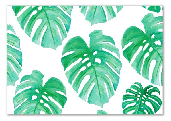 Foto obraz skleněný horizontální Monstera osh-108948322