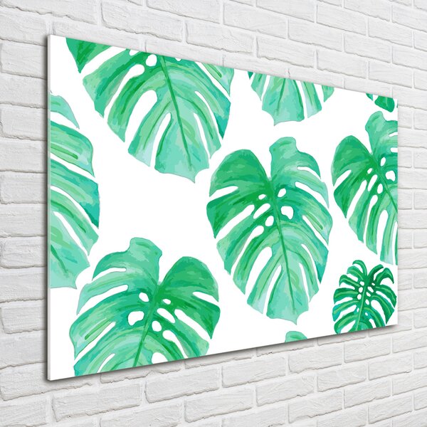 Foto obraz skleněný horizontální Monstera osh-108948322
