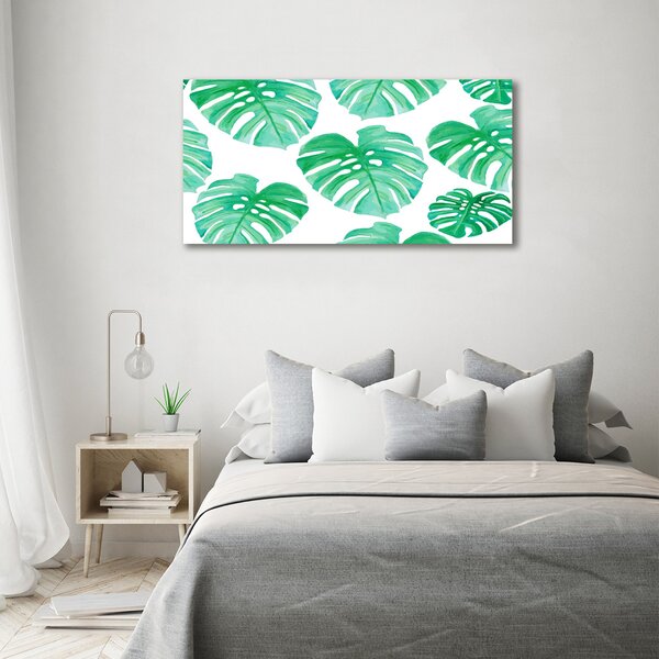 Foto obraz na plátně Monstera oc-108948322
