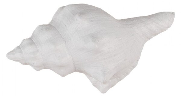 Bílá plastová úchytka mušle Marmion – 10x5x6 cm