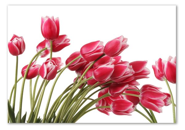 Fotoobraz na skle Červené tulipány osh-109710799