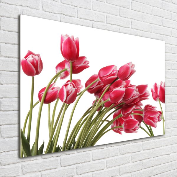 Fotoobraz na skle Červené tulipány osh-109710799
