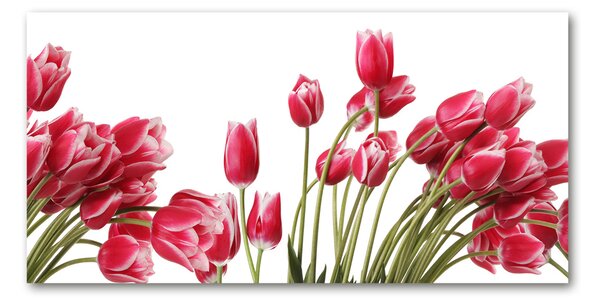 Fotoobraz na skle Červené tulipány osh-109710799