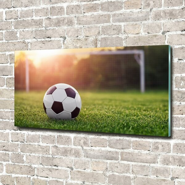 Foto-obraz fotografie na skle Fotbal osh-110116373