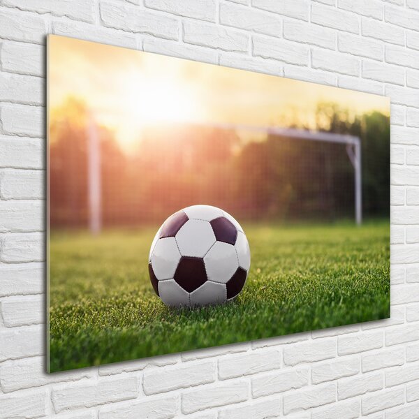 Foto-obraz fotografie na skle Fotbal osh-110116373