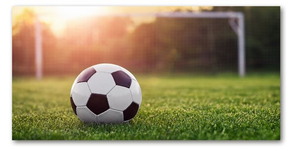 Foto-obraz fotografie na skle Fotbal osh-110116373