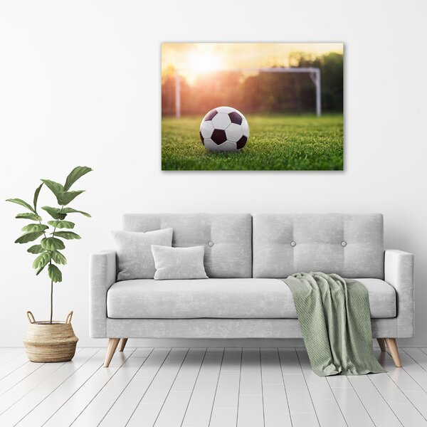 Foto-obraz fotografie na skle Fotbal osh-110116373