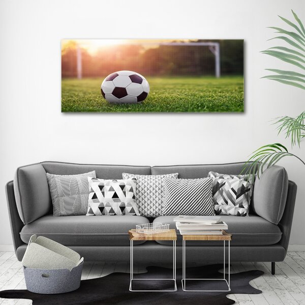 Foto-obraz fotografie na skle Fotbal osh-110116373