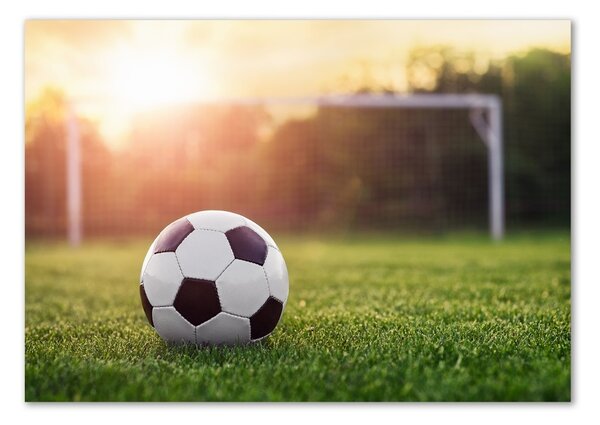 Foto-obraz fotografie na skle Fotbal osh-110116373