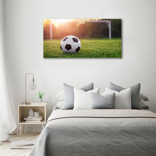 Foto-obraz fotografie na skle Fotbal osh-110116373