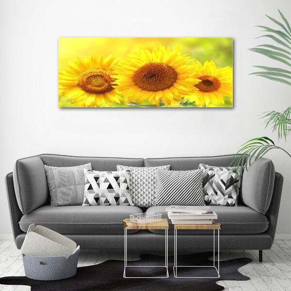 Moderní fotoobraz canvas na rámu Slunečníky oc-110835200