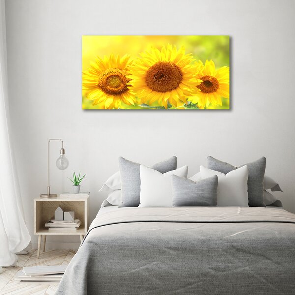 Moderní fotoobraz canvas na rámu Slunečníky oc-110835200