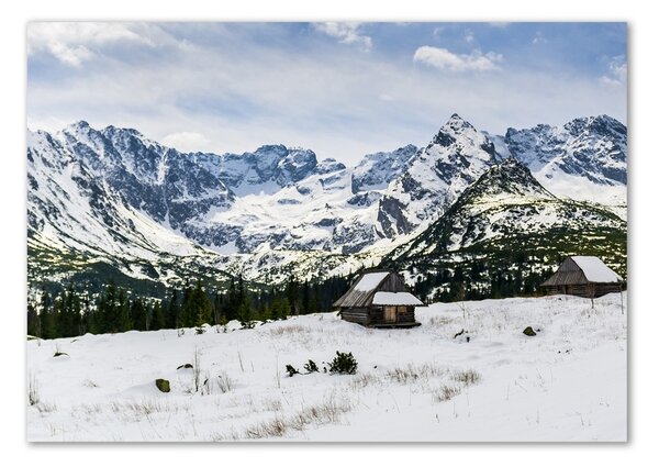 Foto obraz sklo tvrzené Západní Tatry osh-111249964