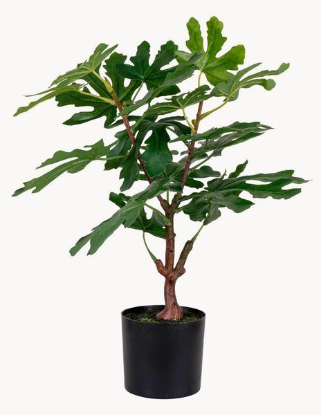Umělá rostlina Fig