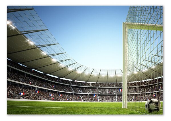 Foto-obrah sklo tvrzené Stadion Francie osh-111693284