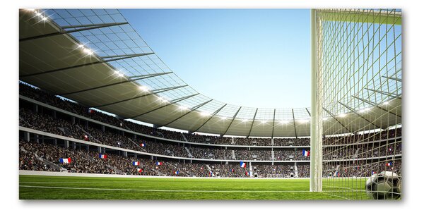 Foto-obrah sklo tvrzené Stadion Francie osh-111693284