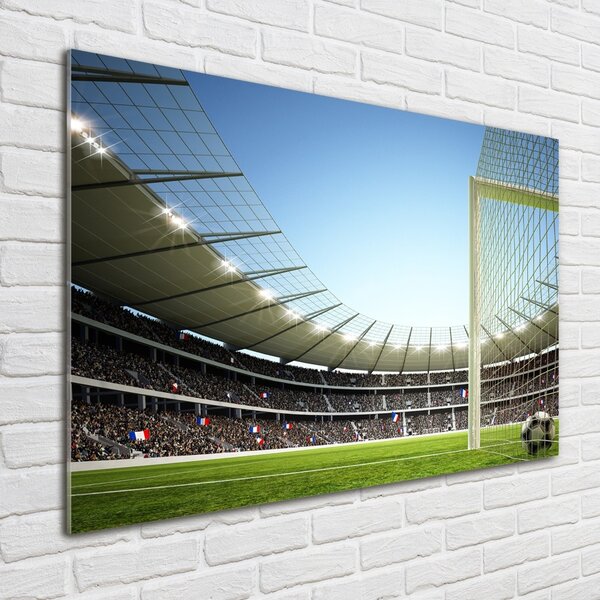 Foto-obrah sklo tvrzené Stadion Francie osh-111693284