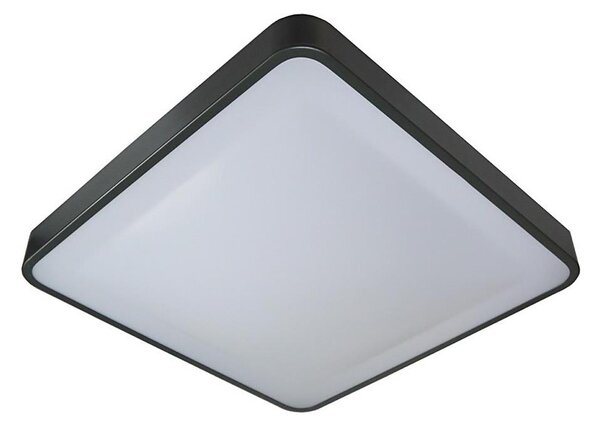 LED Stropní svítidlo WILTON LED/24W/230V antracit