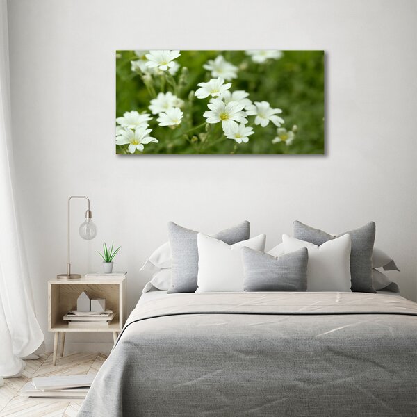 Foto obraz canvas Jarní květiny oc-112767766