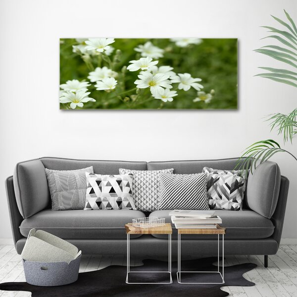Foto obraz canvas Jarní květiny oc-112767766