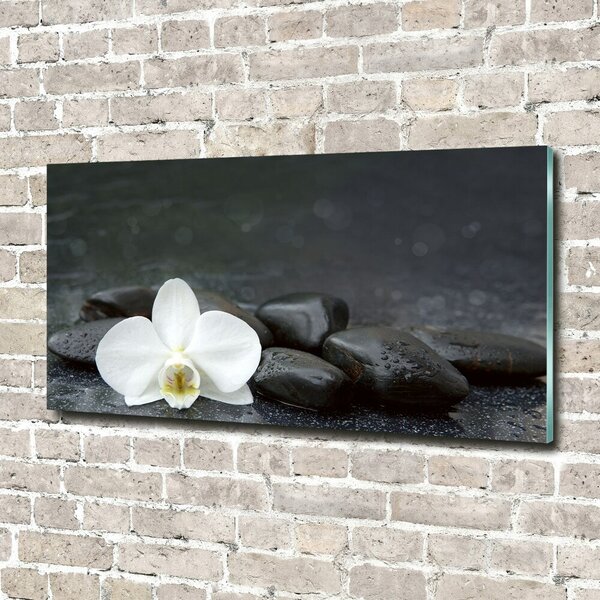 Foto obraz fotografie na skle Orchidej osh-113617594