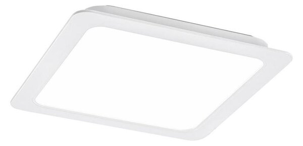 Rabalux 3170 - LED Podhledové svítidlo SHAUN LED/24W/230V 22 cm