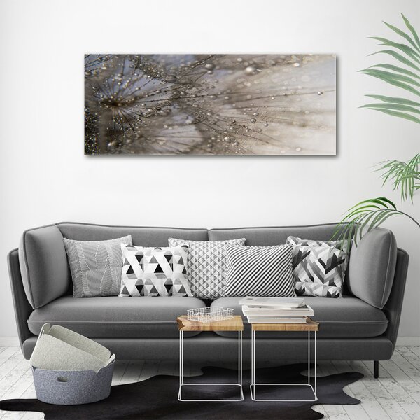 Foto obraz canvas Semeno pampelišky oc-114030264