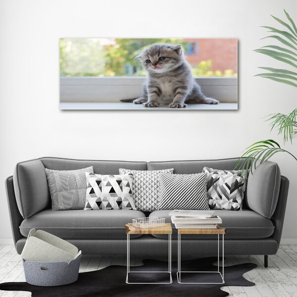 Foto obraz canvas Malá kočka u okna oc-114401117