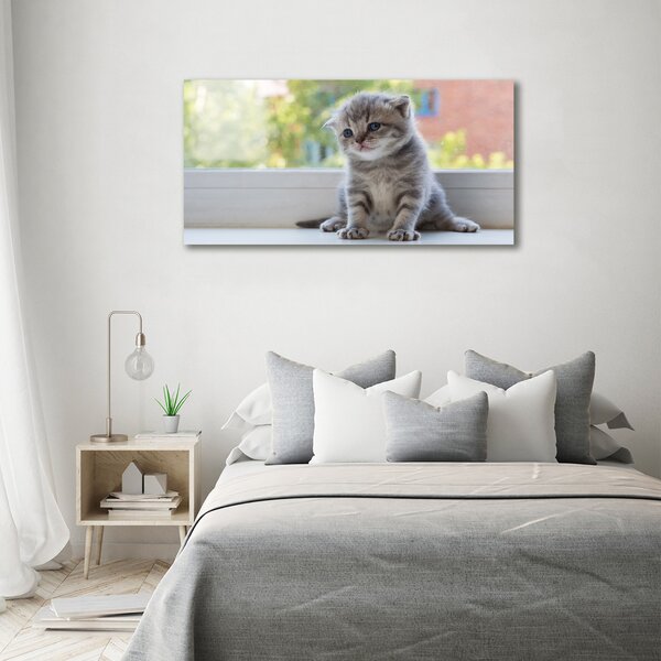 Foto obraz canvas Malá kočka u okna oc-114401117
