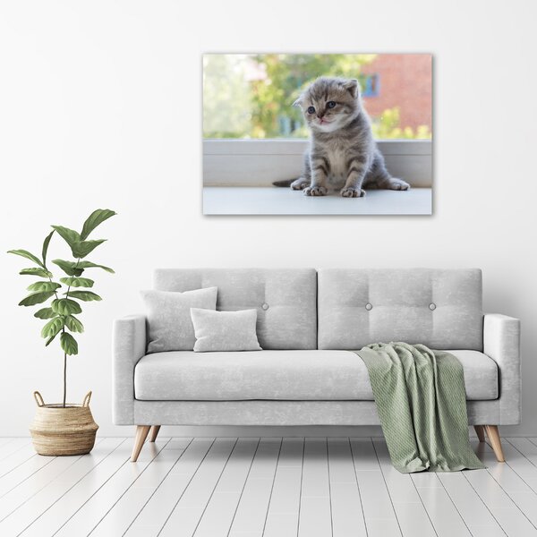 Foto obraz canvas Malá kočka u okna oc-114401117