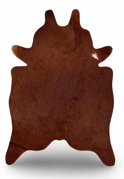 Hovězí předložka mini 2