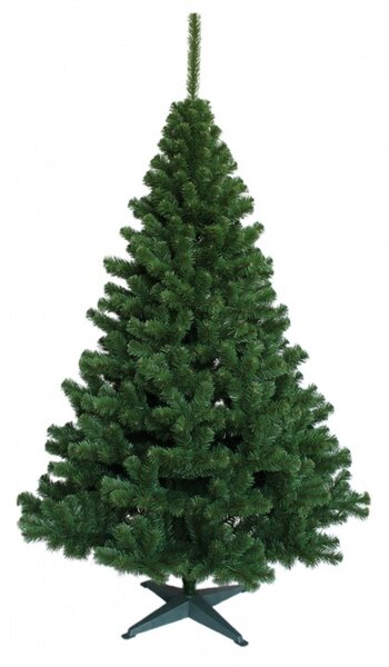 Vánoční stromek Jedle zelená 100 cm