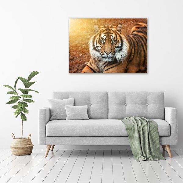 Moderní fotoobraz canvas na rámu Bengálský tygr oc-116603957
