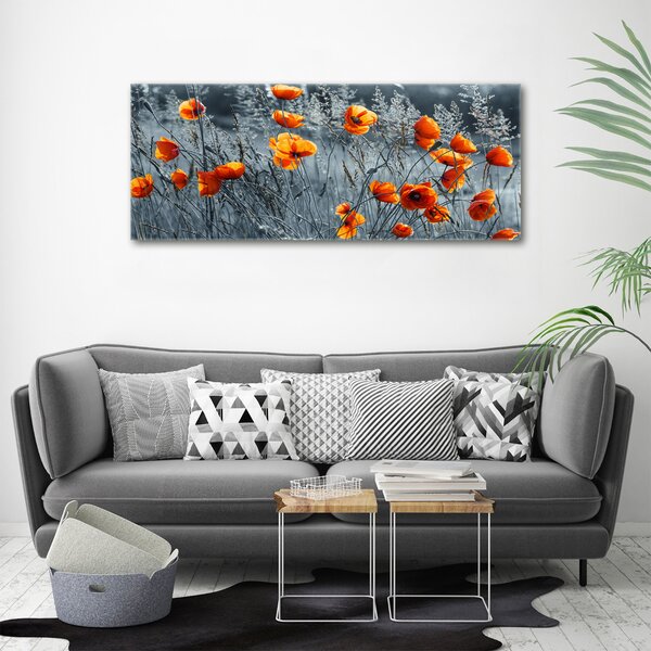 Moderní fotoobraz canvas na rámu Polní mák oc-116797987