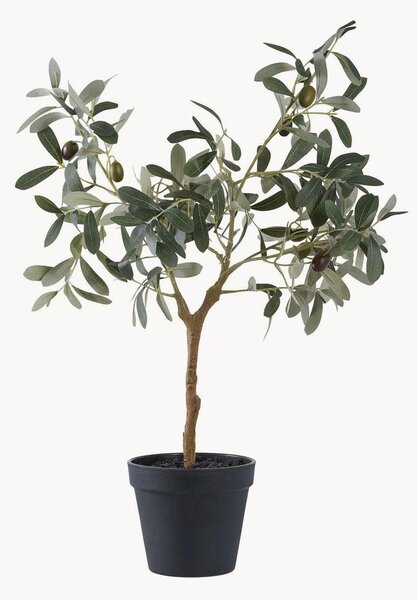 Umělá rostlina Olive
