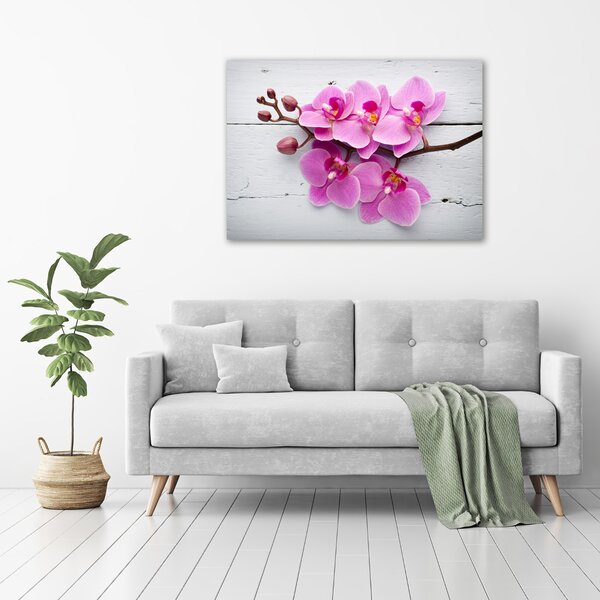 Foto obraz skleněný horizontální Orchidej a na stromě osh-118409675