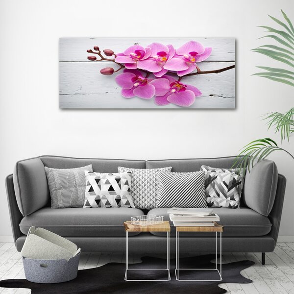 Foto obraz na plátně Orchidej a na stromě oc-118409675