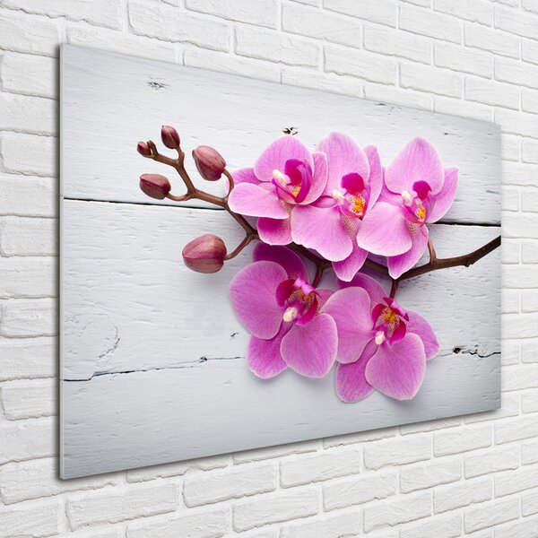 Foto obraz skleněný horizontální Orchidej a na stromě osh-118409675