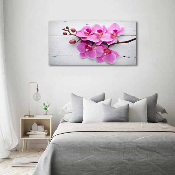 Foto obraz skleněný horizontální Orchidej a na stromě osh-118409675