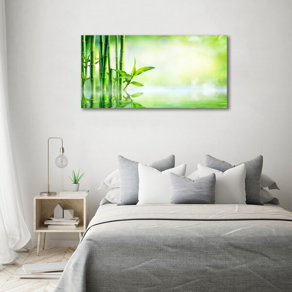 Foto obraz canvas Bambus oc-120328411