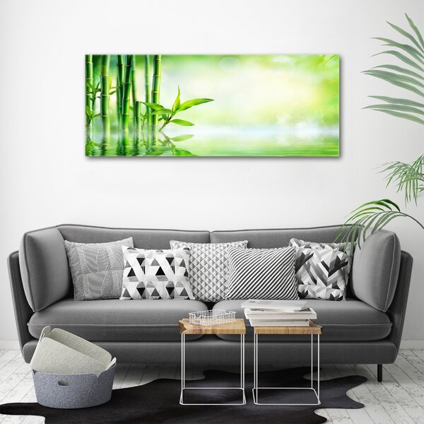 Foto obraz canvas Bambus oc-120328411