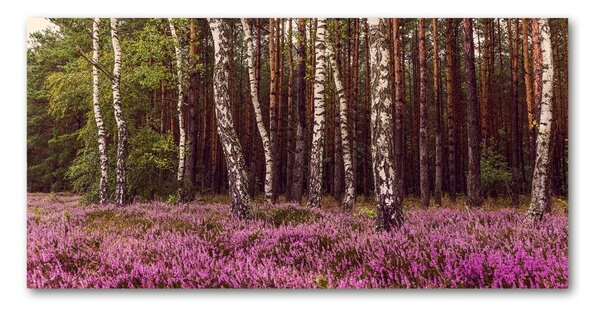 Foto obraz sklo tvrzené Vřesoviště osh-120519318
