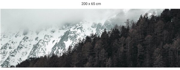 FUGU Ochrana za postel - Winter mood Varianta ochrany zdi: Delší strana postele 200x65 cm
