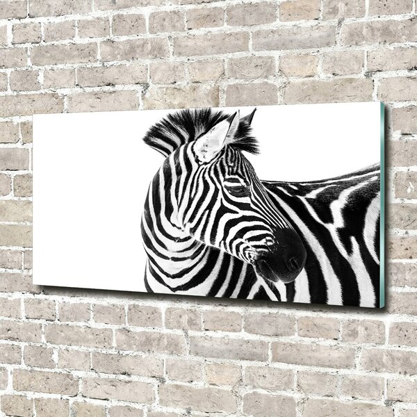 Foto obraz sklo tvrzené Zebra ve sněhu osh-121577688
